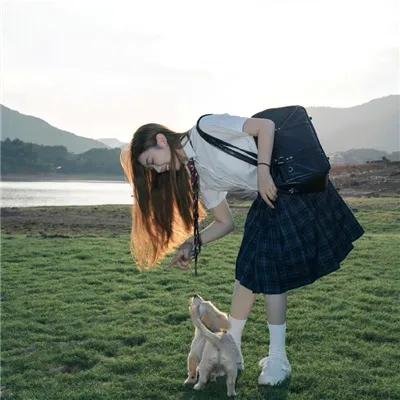 安提戈涅