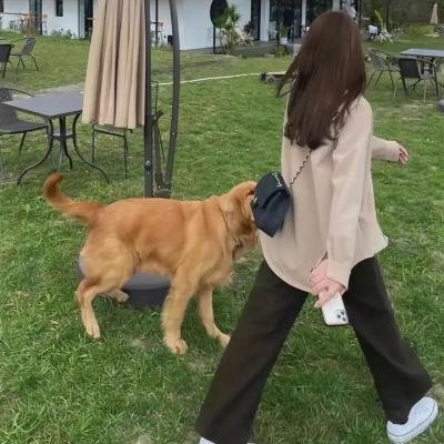 你是骗子我是贼